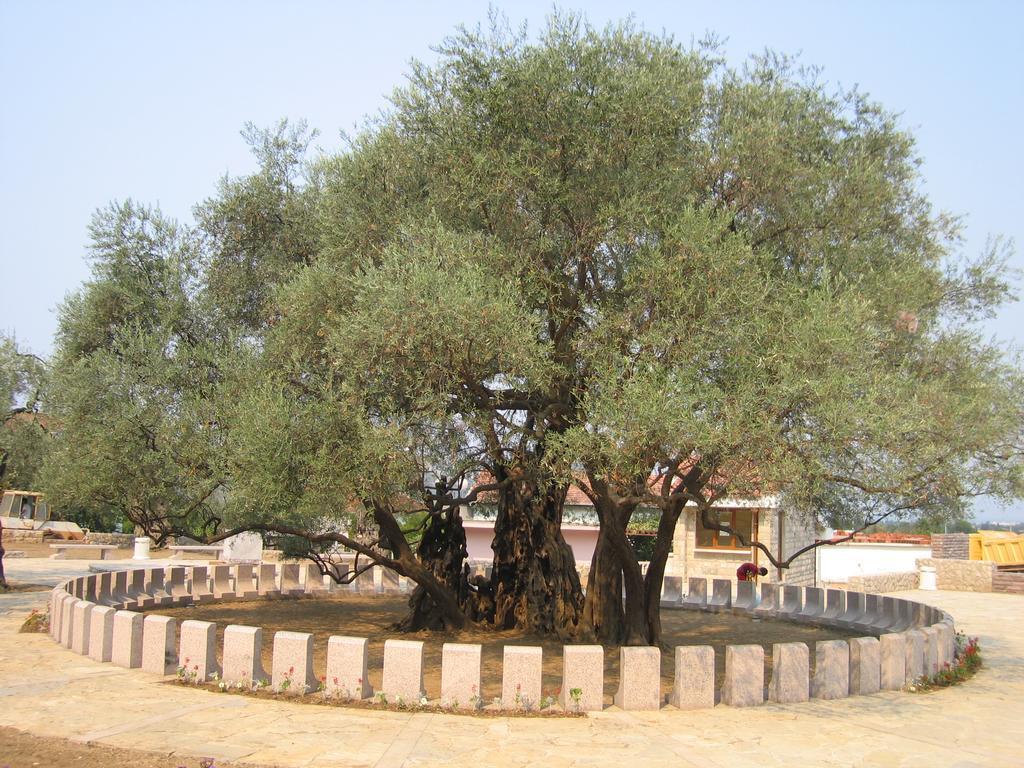Apartments Old Olive Bar Luaran gambar